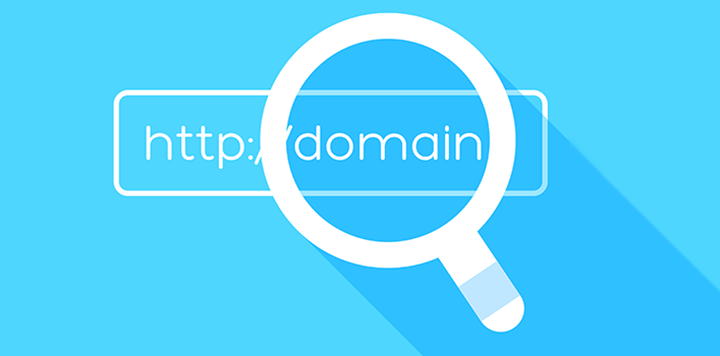 κατοχύρωση domain name