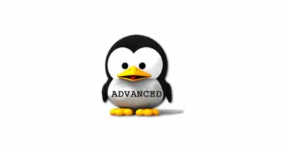 web hosting advanced